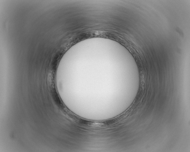 X0000116320222200912010951