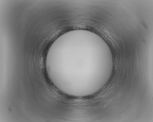 X0000116320224200912010951