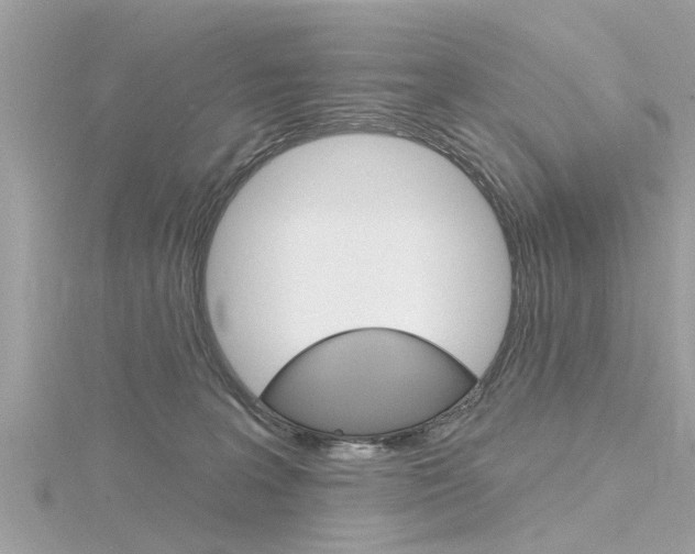 X0000116320227200912010951