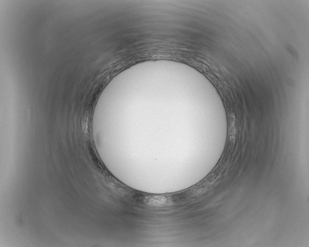 X0000116320230200912010951