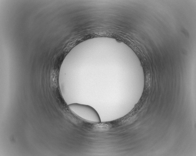 X0000116320234200912010951