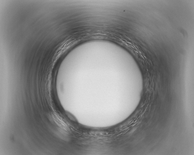 X0000116320242200912010950
