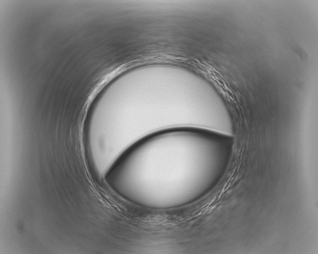 X0000116320244200912010950