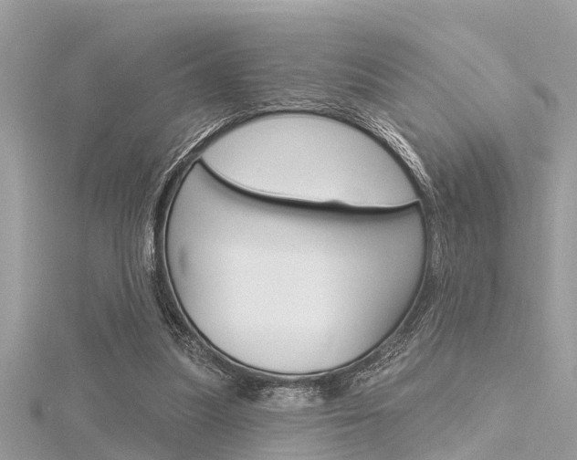 X0000116320251200912010950