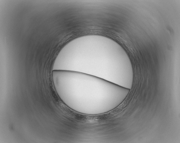 X0000116320263200912010950