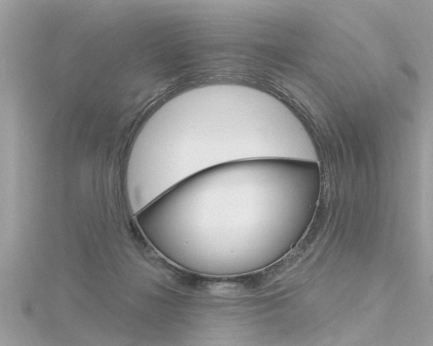 X0000116320268200912010950