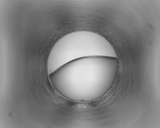 X0000116320272200912010950