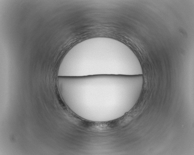 X0000116320278200912010950