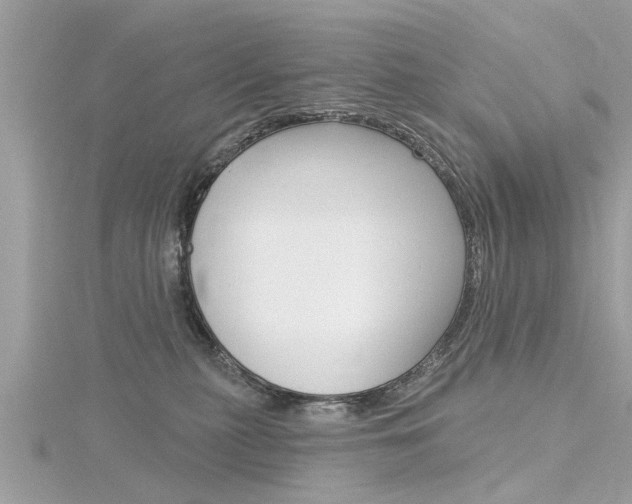 X0000116320279200912010950