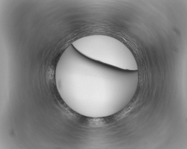 X0000116320281200912010950