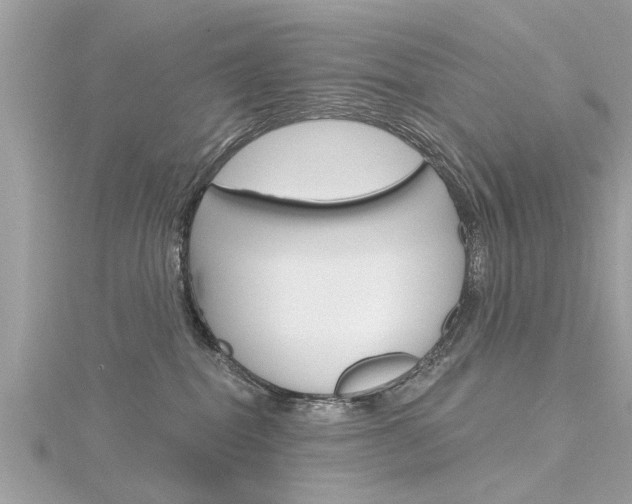 X0000116320282200912010950