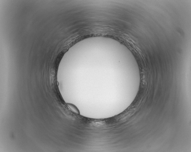 X0000116320283200912010950