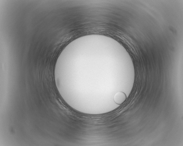 X0000116320284200912010950