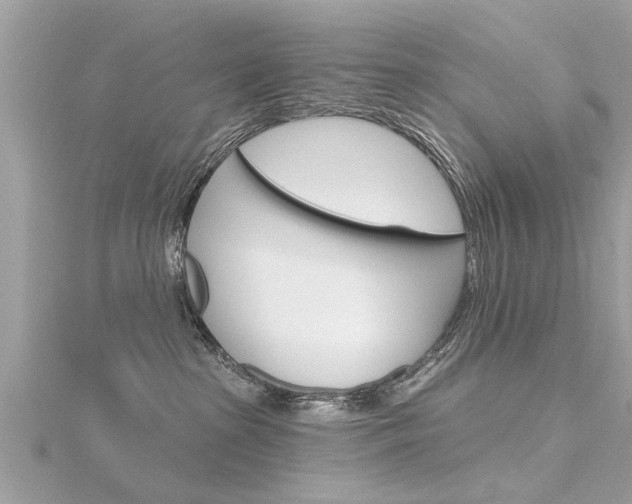 X0000116320285200912010950