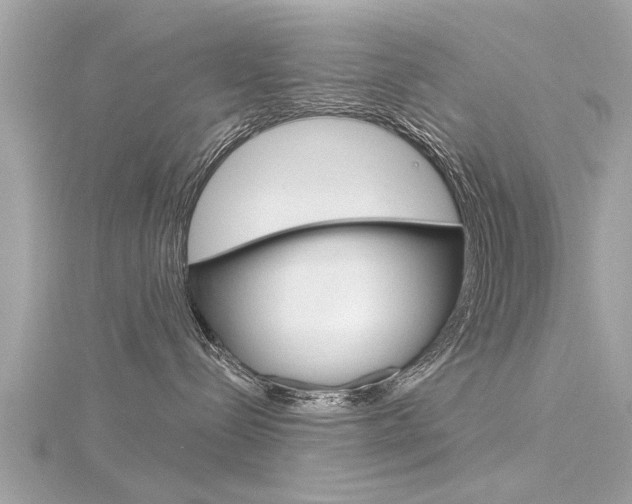 X0000116320288200912010950