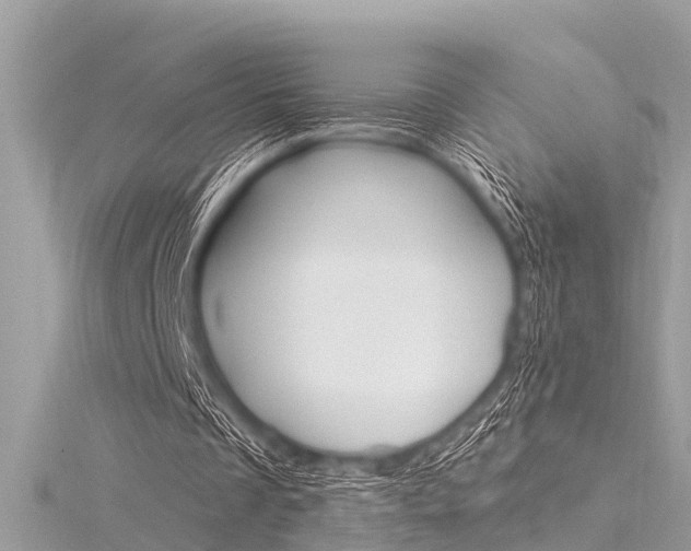 X0000116320289200912010950