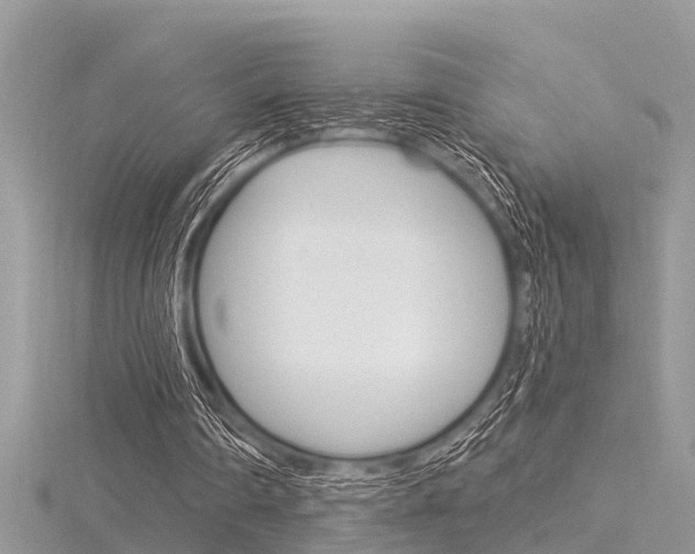 X0000116320290200912010950