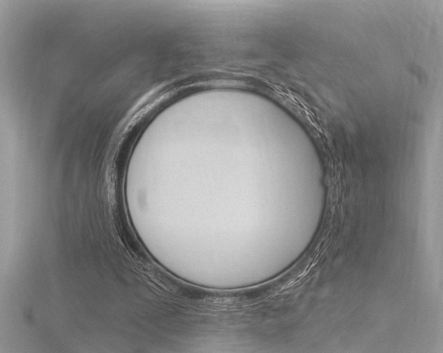 X0000116320295200912010950