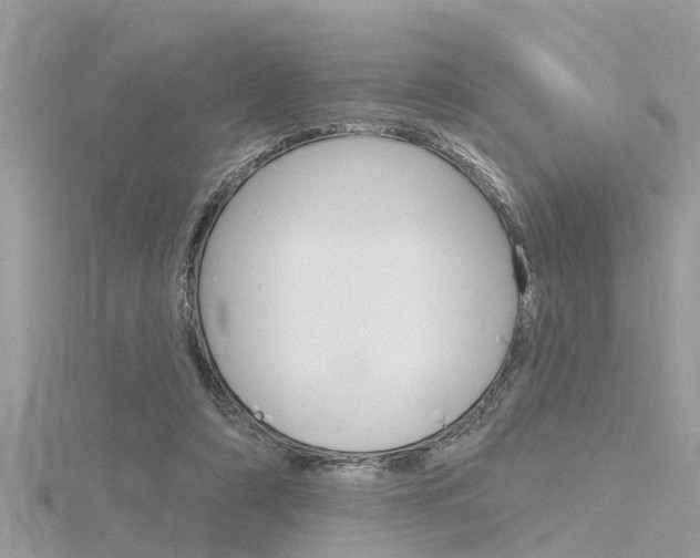 X0000116320306200912010949