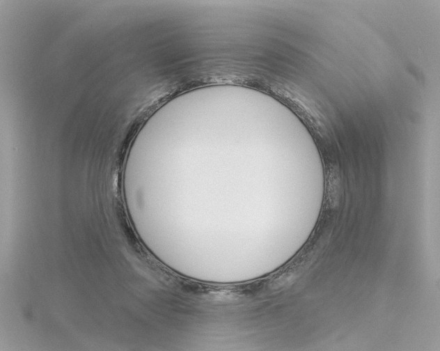 X0000116320310200912010949