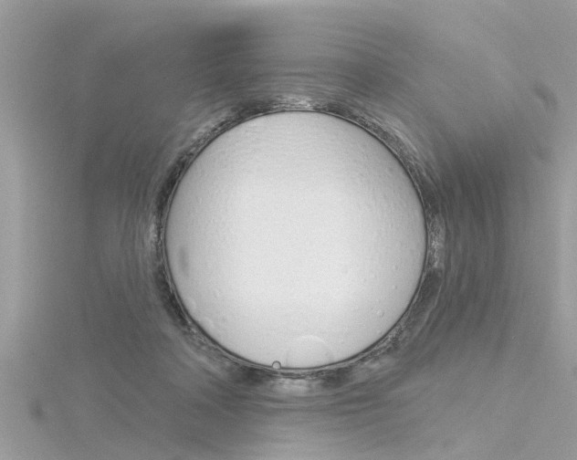 X0000116320314200912010949