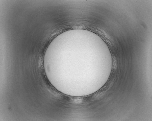 X0000116320318200912010949