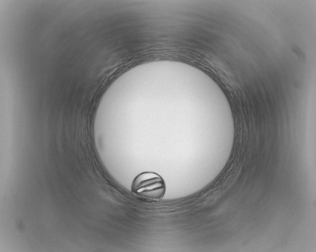 X0000116320320200912010949