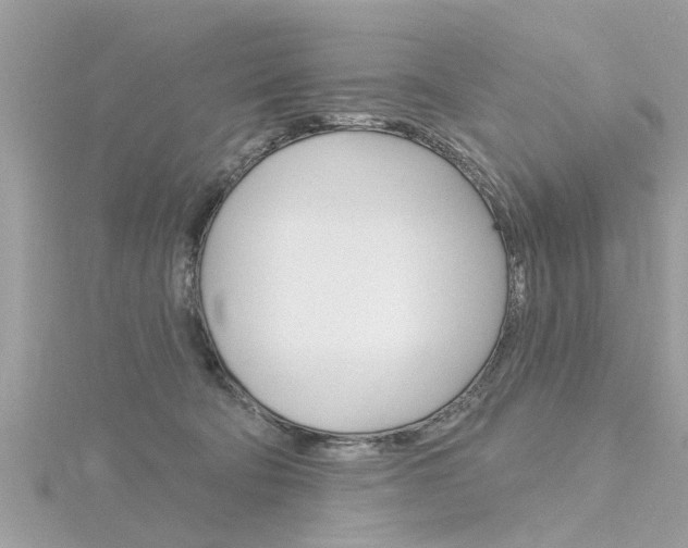 X0000116320322200912010949