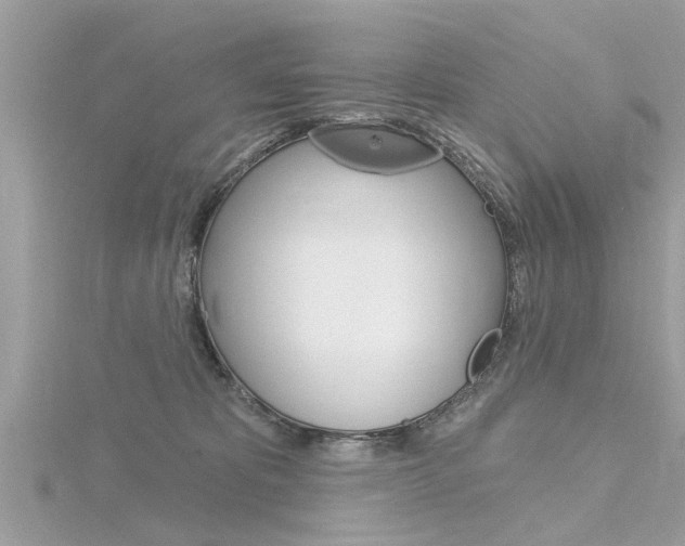X0000116320325200912010949