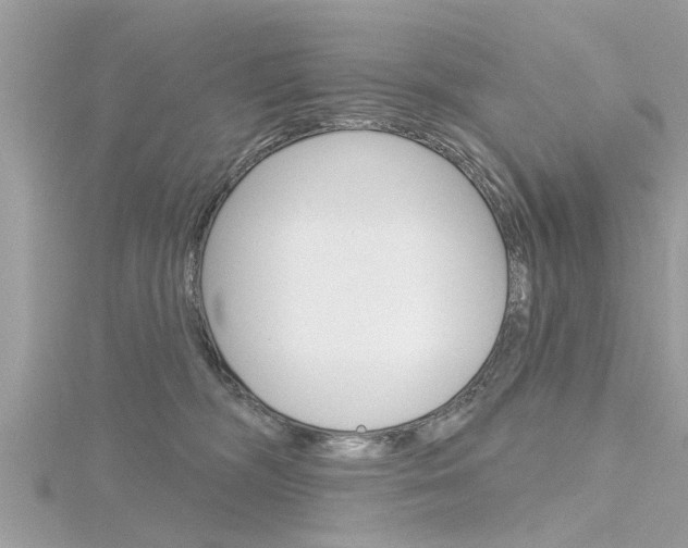 X0000116320326200912010949