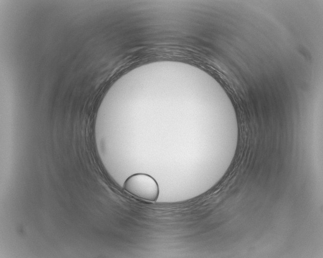 X0000116320327200912010949