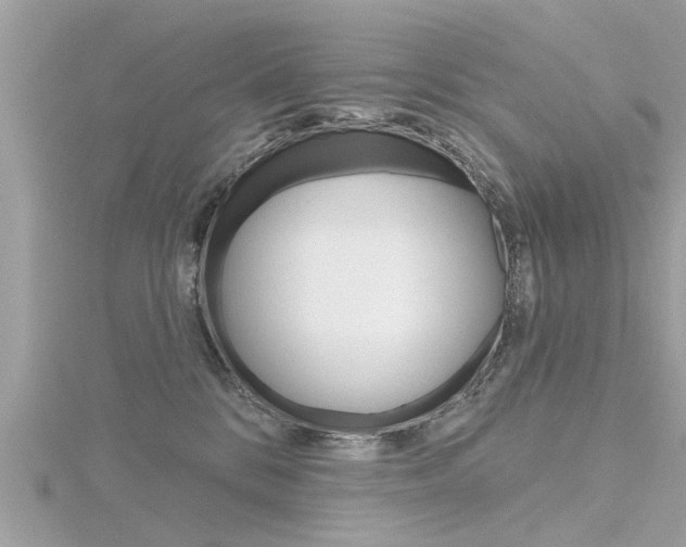 X0000116320328200912010949