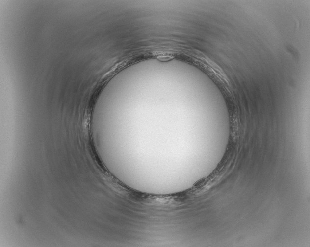 X0000116320329200912010949