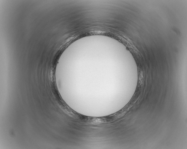 X0000116320330200912010949