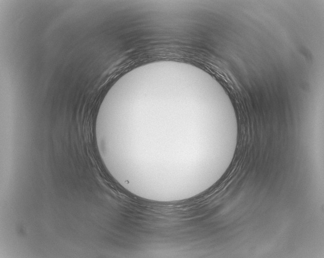 X0000116320332200912010949