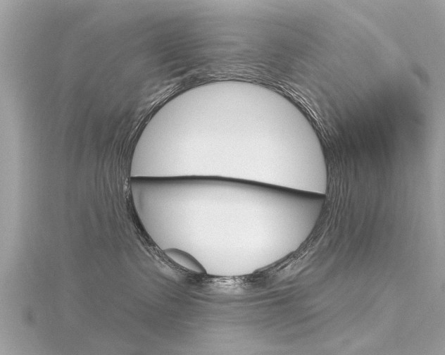 X0000116320335200912010949