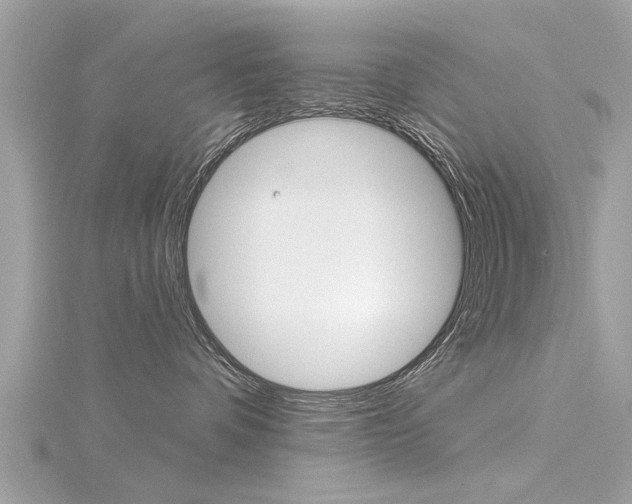 X0000116320336200912010949