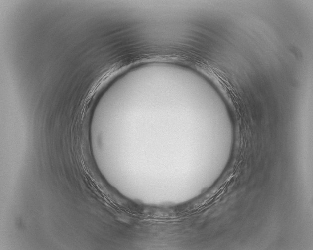 X0000116320337200912010948