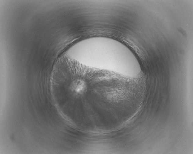 X0000116320359200912010949