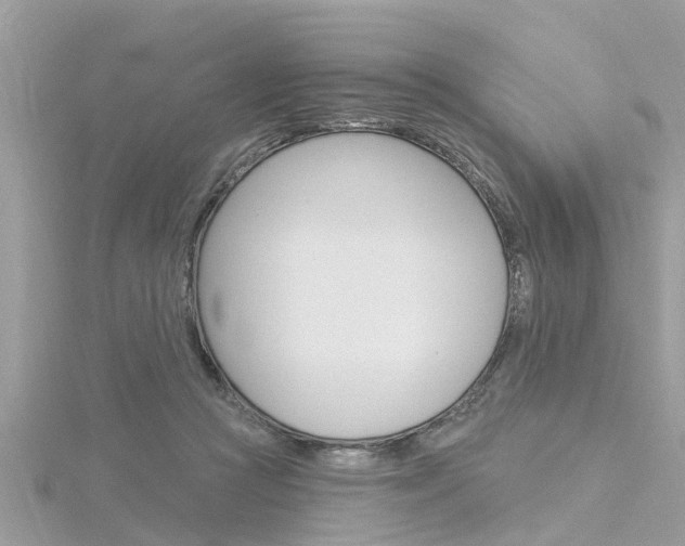 X0000116320361200912010949