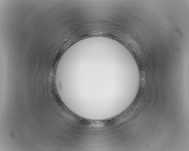 X0000116320369200912010949