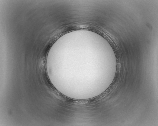 X0000116320373200912010949