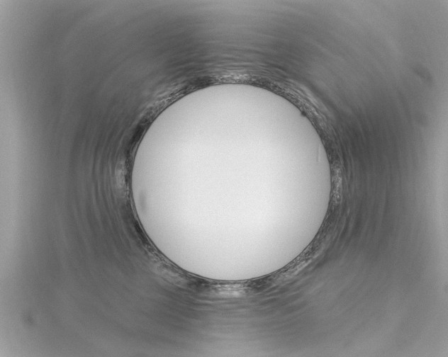 X0000116320377200912010949