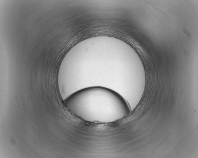 X0000116320382200912010949
