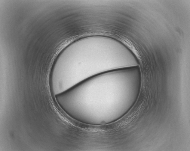 X0000116320389200912010948
