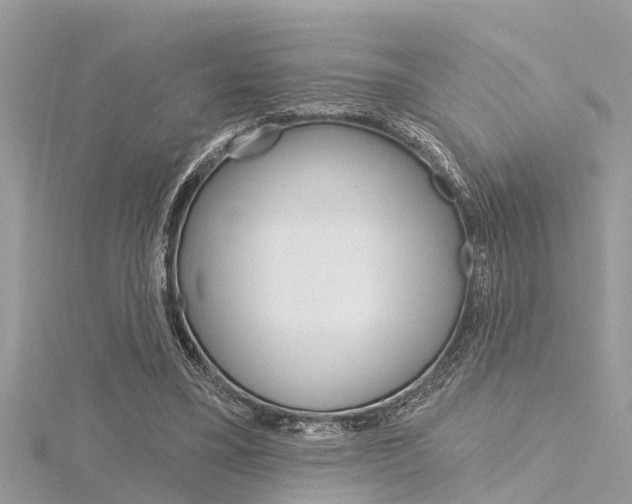 X0000116320395200912010948