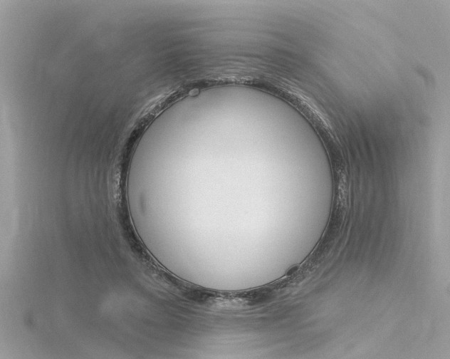 X0000116320403200912010948