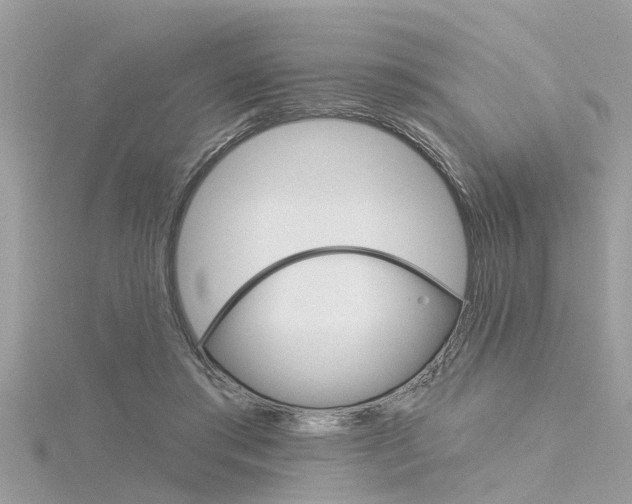 X0000116320405200912010948