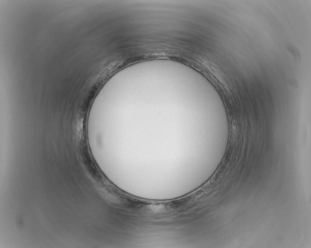 X0000116320406200912010948