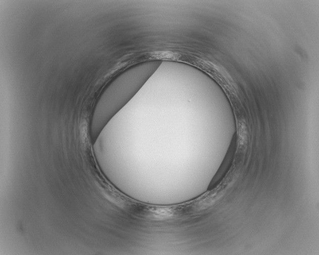 X0000116320409200912010948